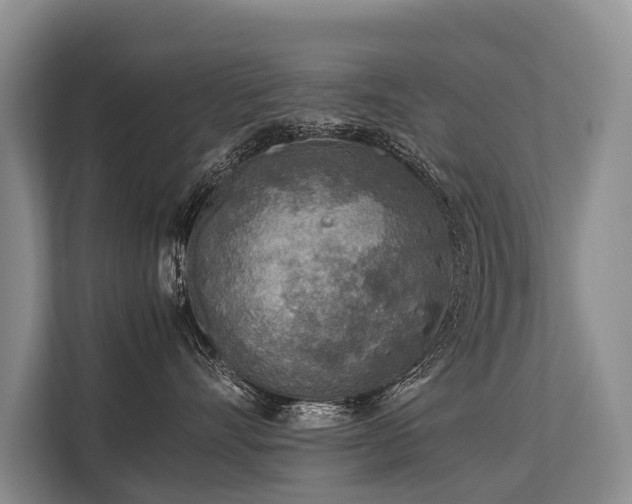 X0000113640528200909181459