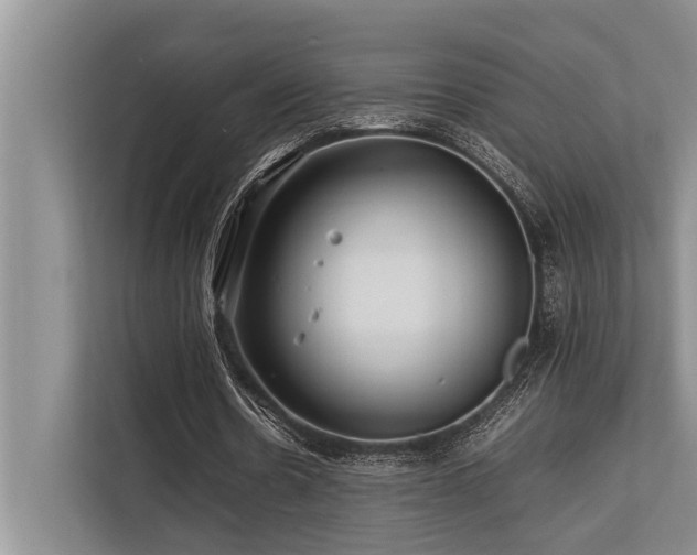 X0000113640530200909181458