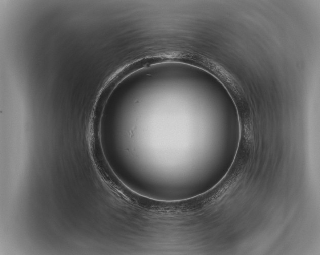 X0000113640532200909181458