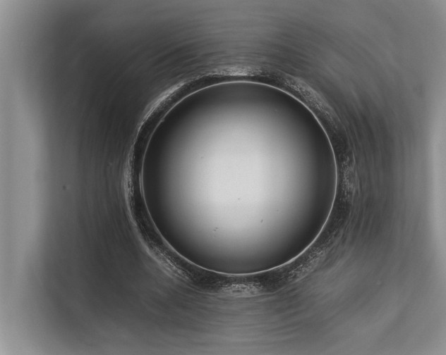 X0000113640536200909181458