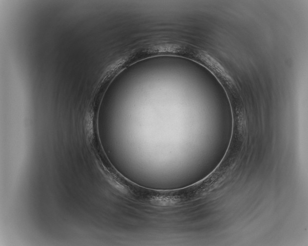 X0000113640537200909181458