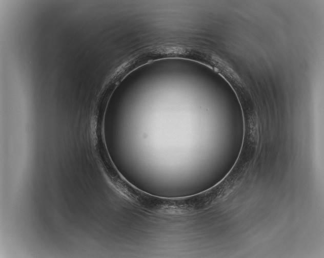 X0000113640538200909181458