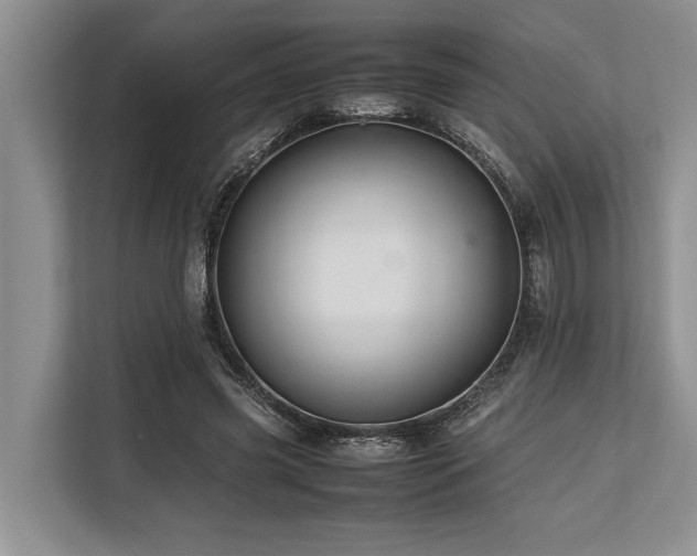 X0000113640541200909181458