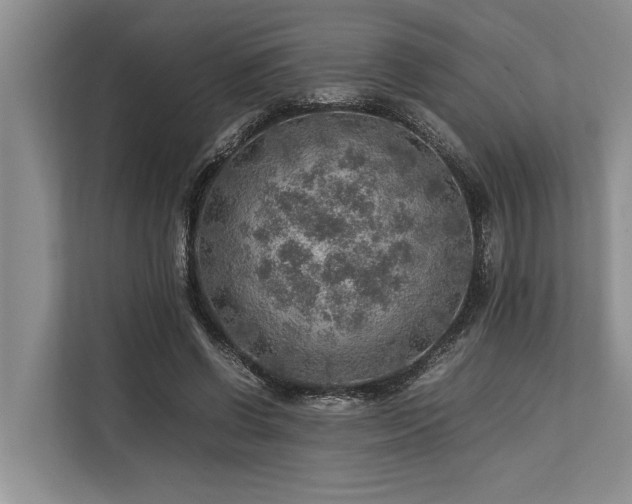 X0000113640542200909181458