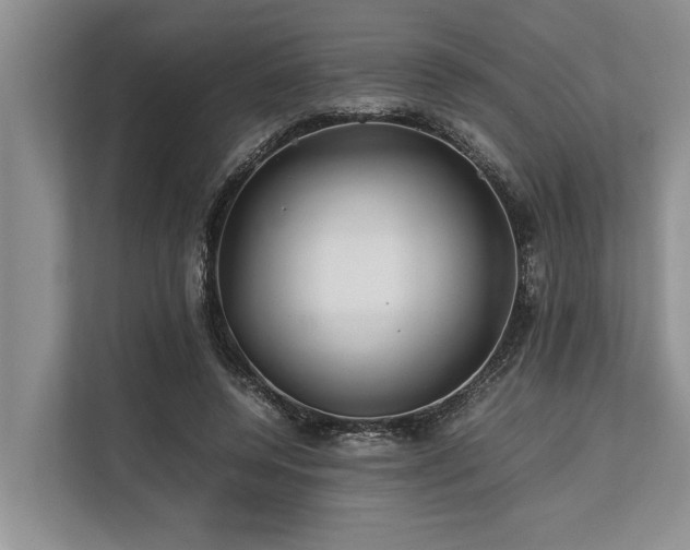 X0000113640544200909181458