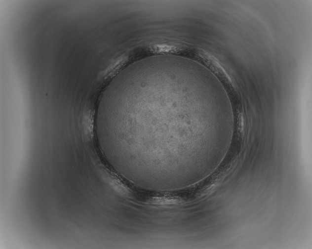 X0000113640545200909181458