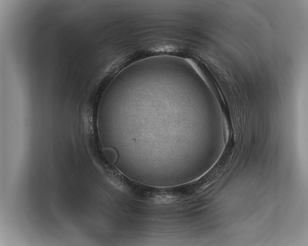 X0000113640547200909181458