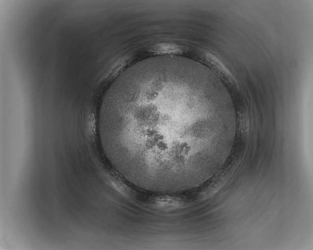 X0000113640549200909181459