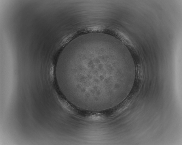 X0000113640550200909181459