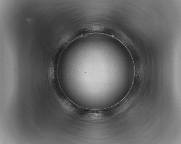 X0000113640552200909181459