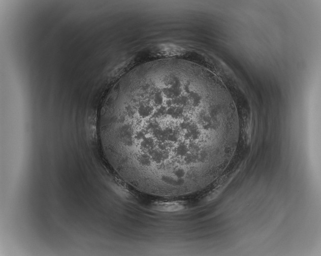 X0000113640553200909181459