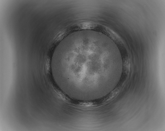 X0000113640554200909181459