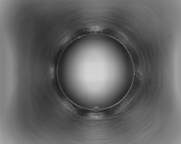 X0000113640556200909181459