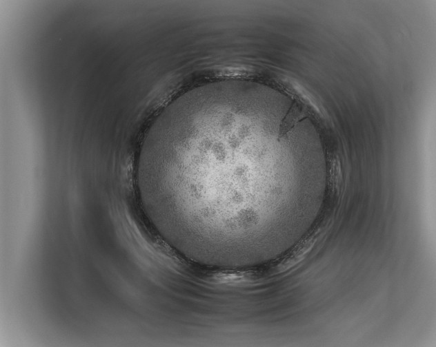 X0000113640557200909181459