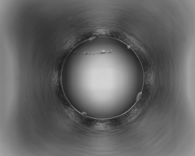 X0000113640560200909181459