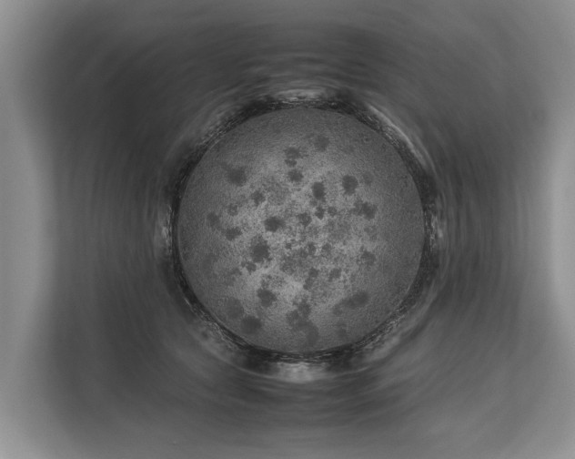 X0000113640561200909181459