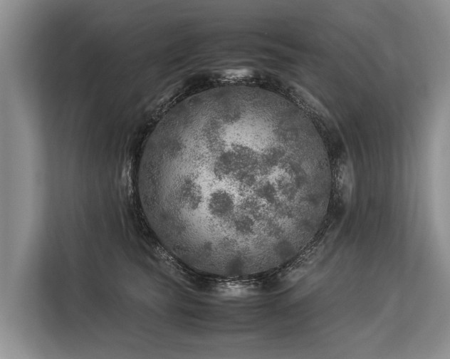 X0000113640565200909181459