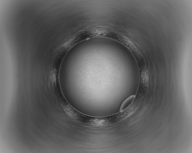 X0000113640570200909181459