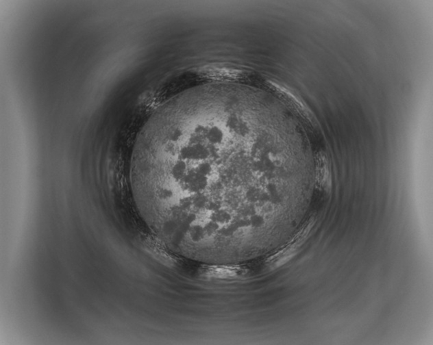 X0000113640573200909181459