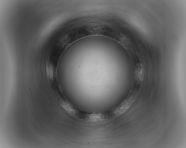 X0000113640574200909181459