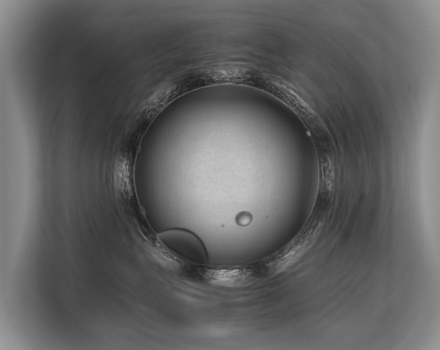 X0000113640575200909181459