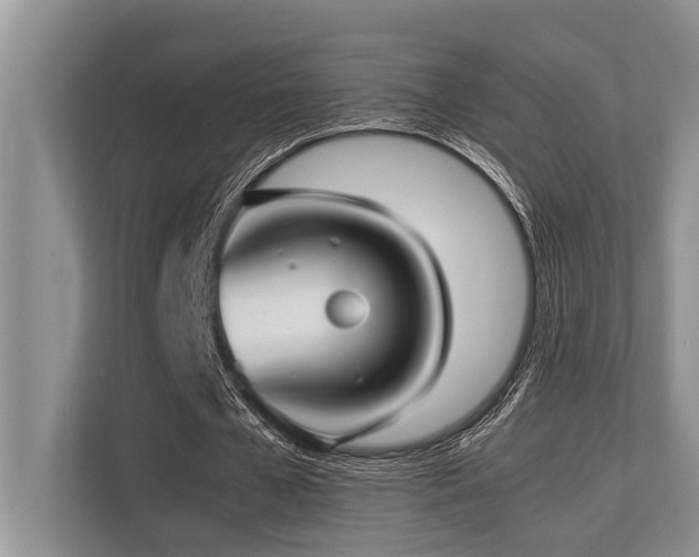 X0000113640577200909181458