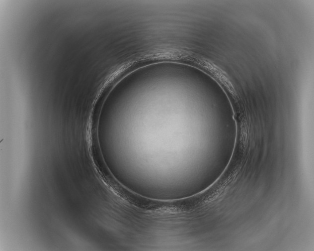 X0000113640578200909181458