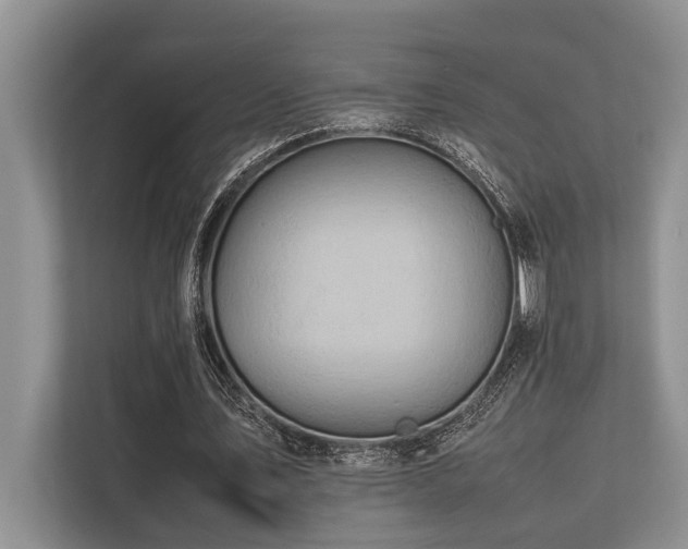 X0000113640579200909181458