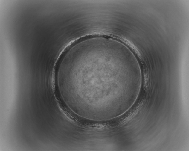 X0000113640580200909181458