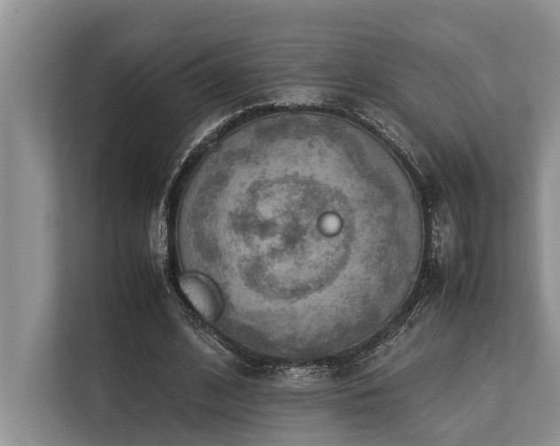 X0000113640584200909181458