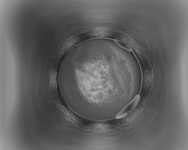 X0000113640585200909181458