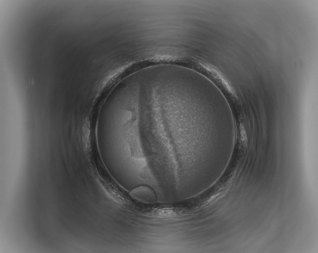 X0000113640588200909181458