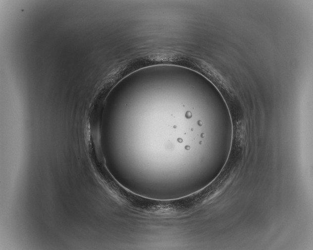 X0000113640589200909181458