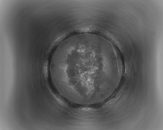 X0000113640590200909181458