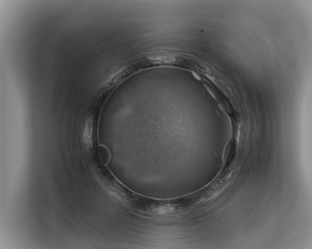 X0000113640600200909181458