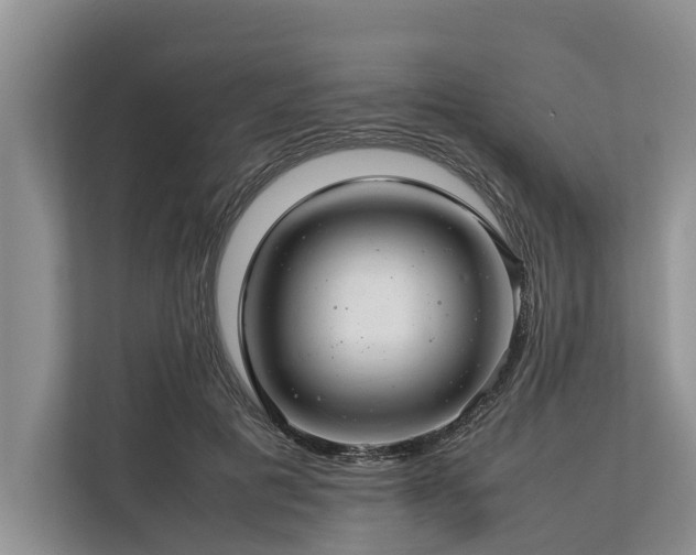 X0000113640601200909181458