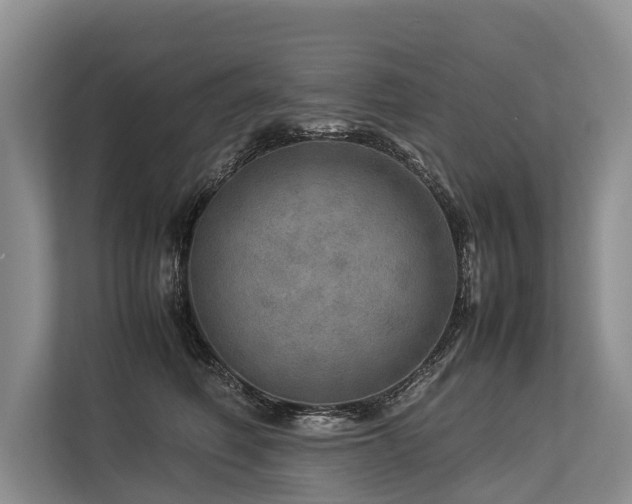 X0000113640614200909181458