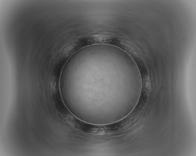 X0000113640615200909181458