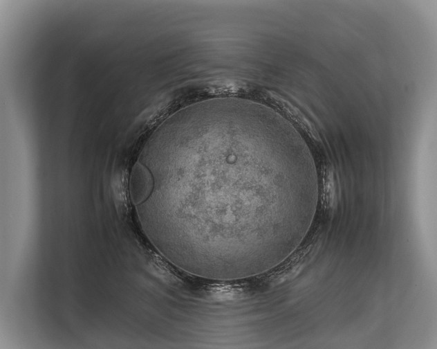 X0000113640616200909181458