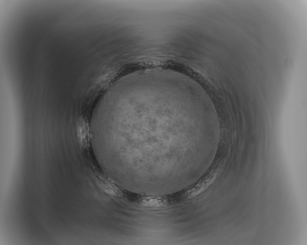 X0000113640624200909181458