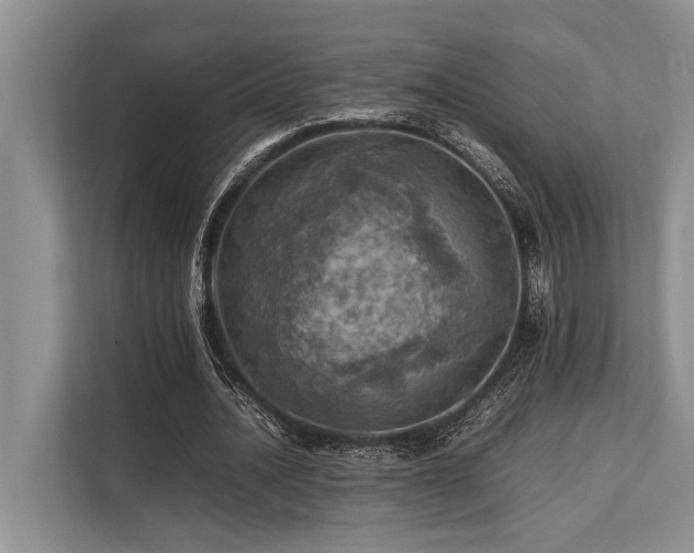 X0000113640628200909181457