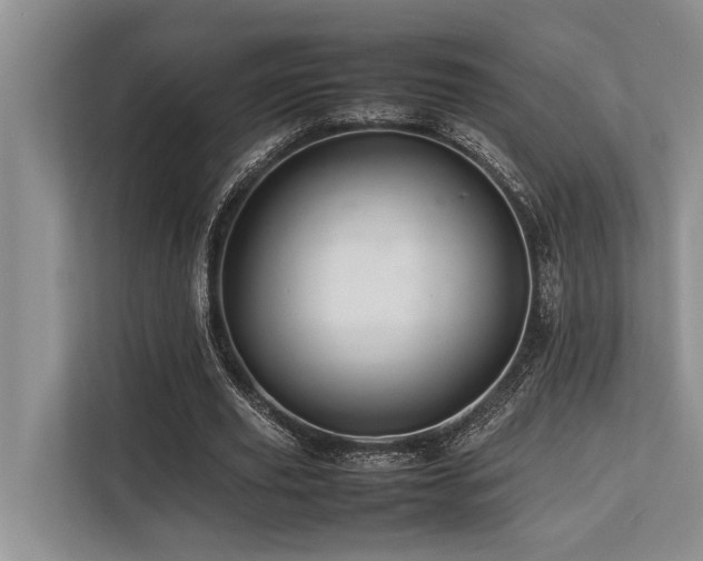 X0000113640629200909181457