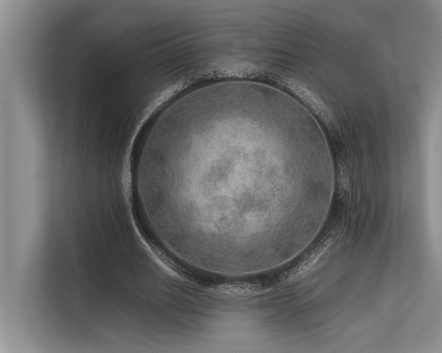 X0000113640630200909181457