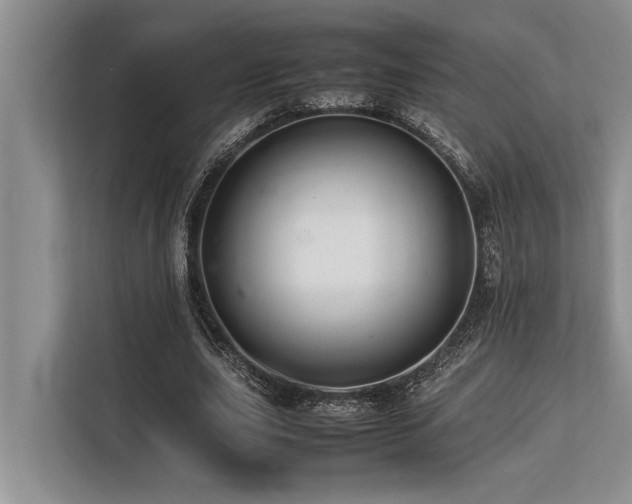 X0000113640631200909181457