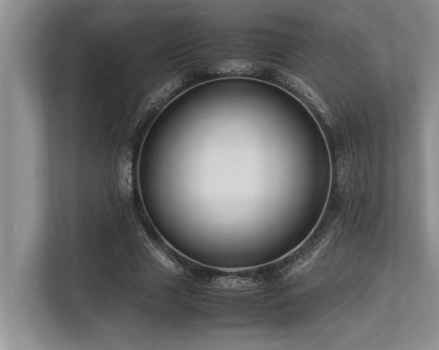 X0000113640633200909181457