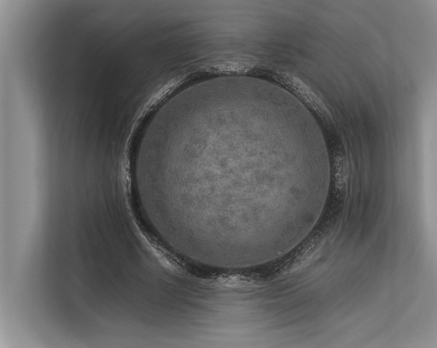 X0000113640634200909181457