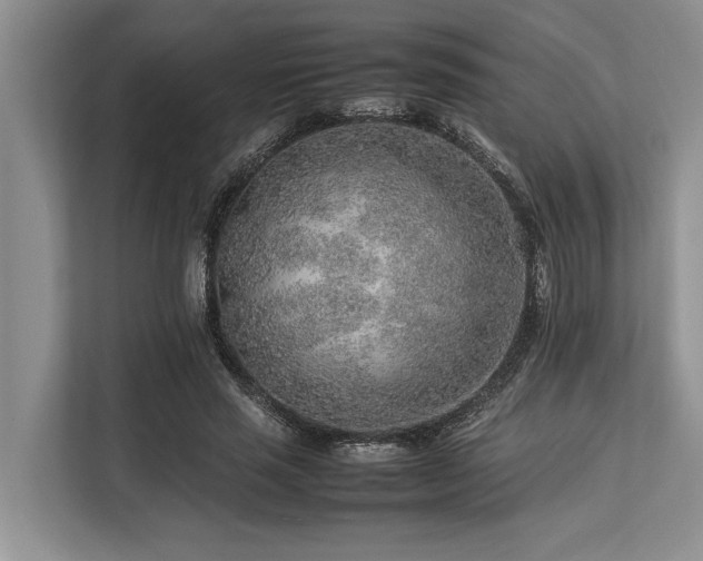 X0000113640637200909181457