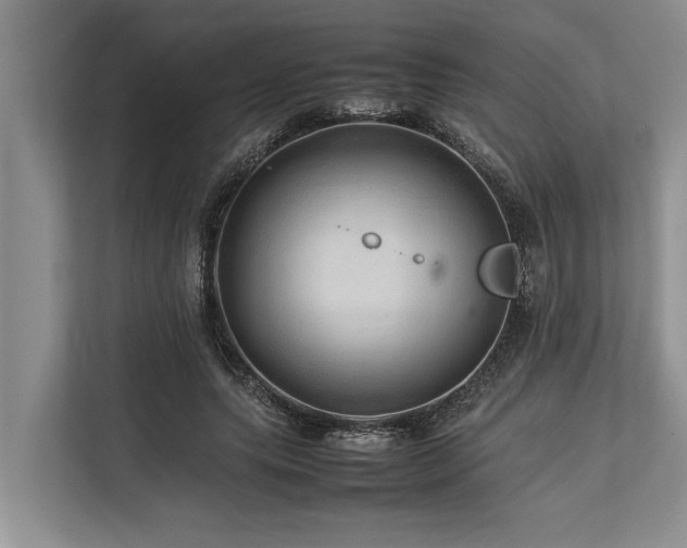 X0000113640639200909181457