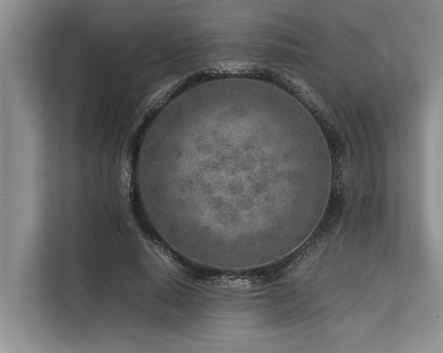 X0000113640640200909181457