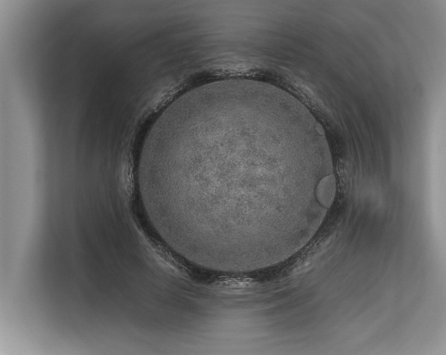 X0000113640642200909181457